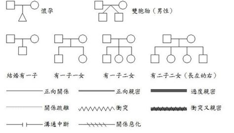 家庭圖關係線|免費AI親屬關係圖製作工具 